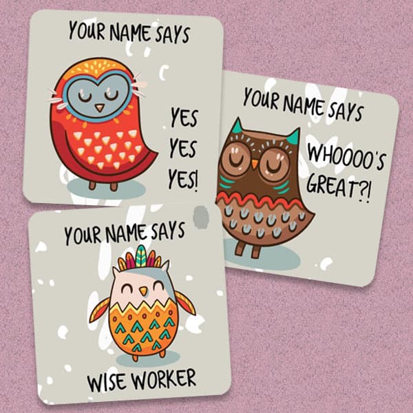 Owl Theme