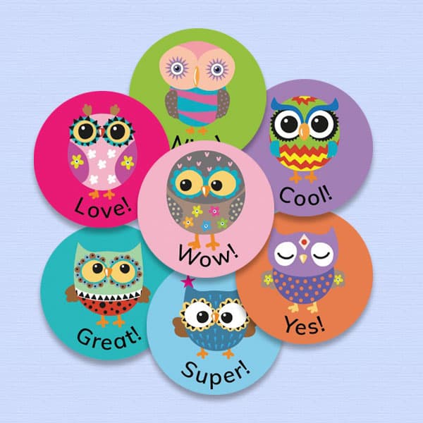Owl Mini Reward